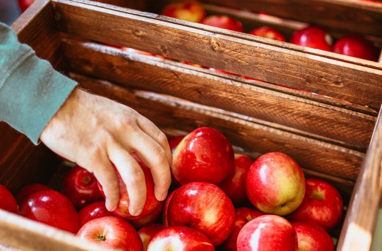 La Comisión Europea flexibiliza las ayudas a viticultores y productores de frutas y hortalizas afectados por la sequía