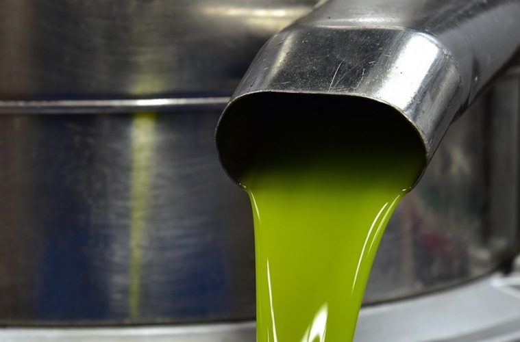 La producción de aceite de oliva 2023-24