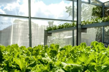 El futuro de la alimentación desde la ciencia y la tecnología, a debate en Madrid Fusión
