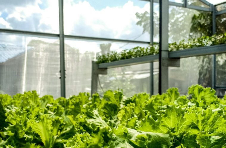 El futuro de la alimentación desde la ciencia y la tecnología, a debate en Madrid Fusión