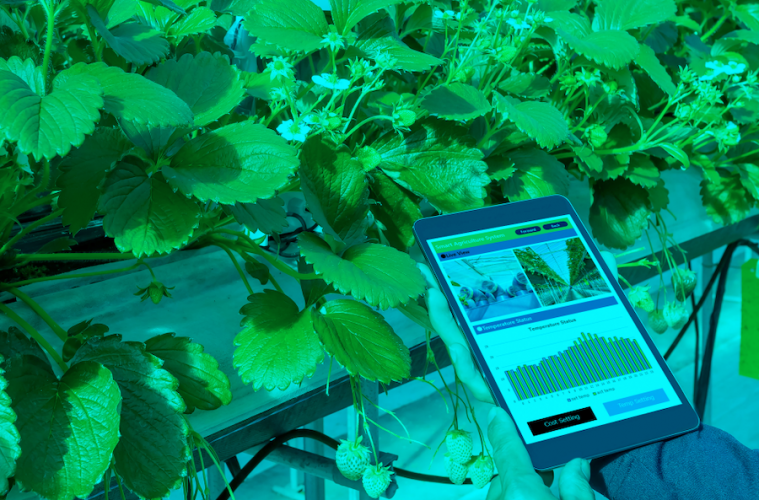 España, líder UE en proyectos de innovación agroalimentaria gracias a los grupos operativos Foto MAPA