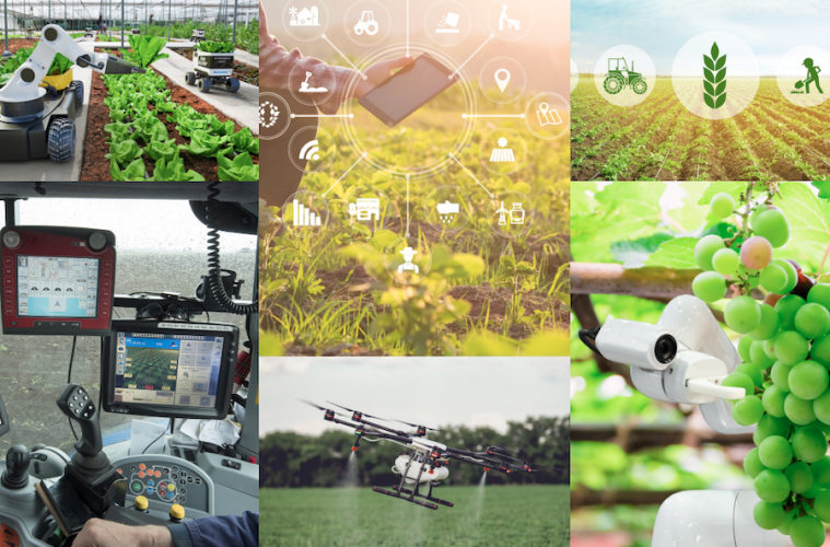 Impulso al Observatorio de Digitalización del Sector Agroalimentario