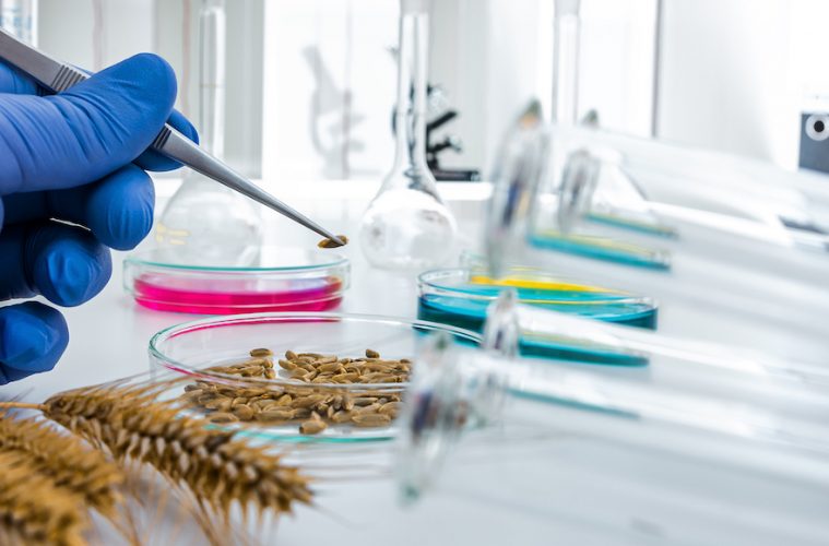 Inteligencia Artificial generativa para la creación de nuevos ingredientes alimentarios - Foto Eurecat