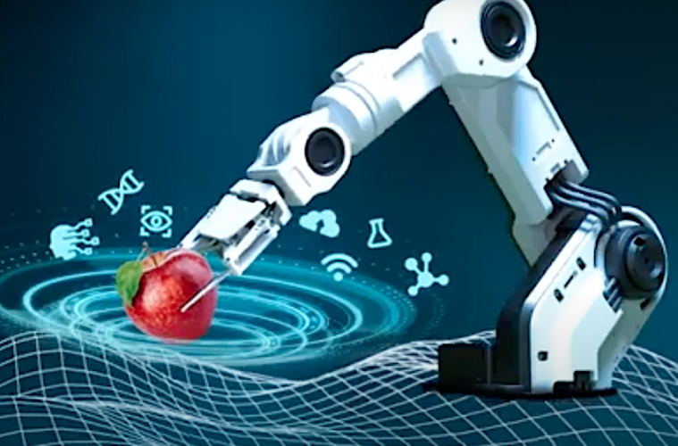 Automatización, robótica o IA para aumentar la eficiencia de la industria alimentaria