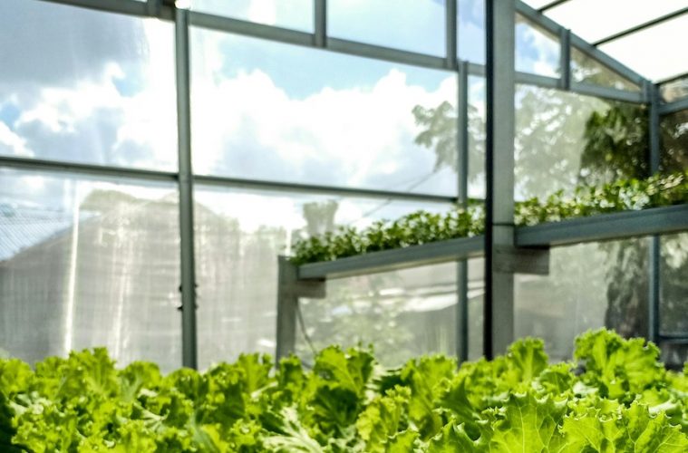 El sector foodtech en España