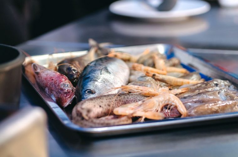 GastroMar l’Ampolla, jornadas sobre el pescado de proximidad y las especies más desconocidas