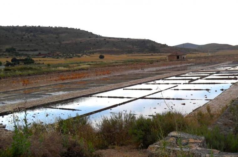 La recuperación de la salinas de Imón, en Sigüenza, más cerca - Foto Turismo Castilla-La Mancha