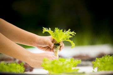 La innovación gastronómica tiene premio en Salón Gourmets