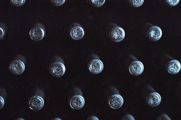 Las comunidades y provincias que más vino exportaron en 2023