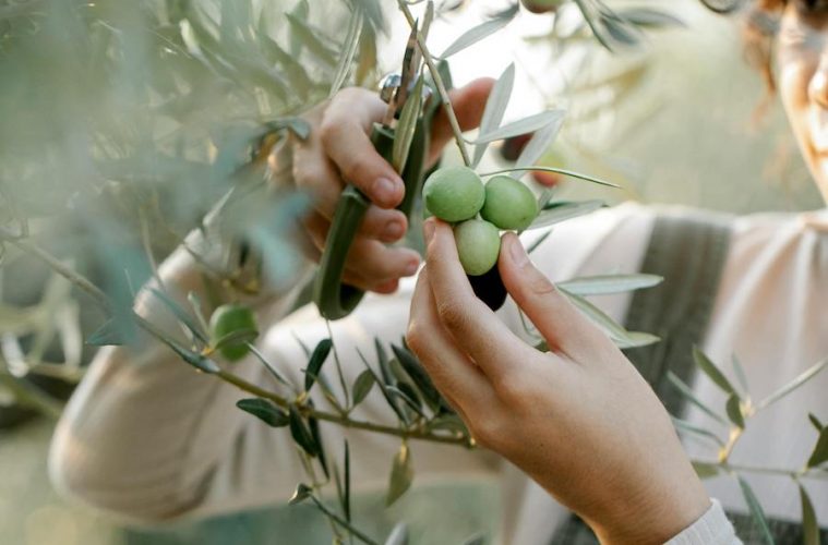 Los proyectos innovadores de mujeres en el ámbito rural tienen premio