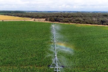 Smart Green Water, proyecto europeo para mejorar el uso del agua en agricultura - Foto UPA