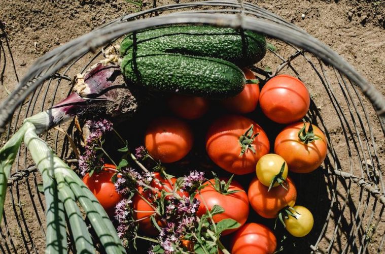 190.000 euros para apoyar tres proyectos de alimentación sostenible
