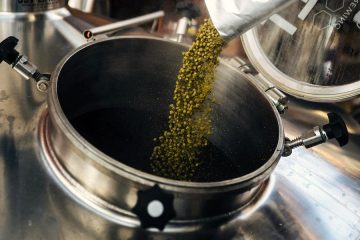 Impulsando nuevos usos del bagazo, subproducto de la industria cervecera con alto valor nutritivo