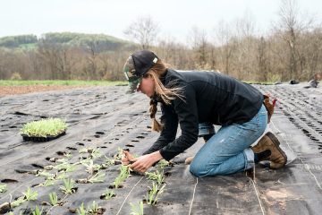Innobonos, ayudas de la Comunidad de Madrid para investigaciones que aumenten la competitividad del sector agropecuario
