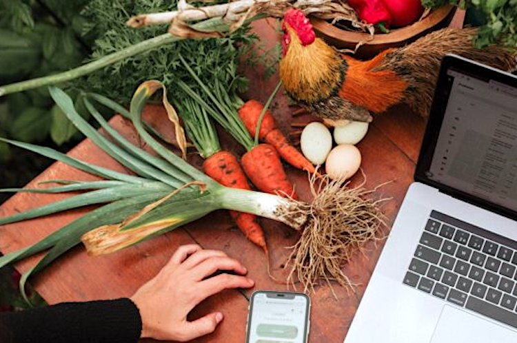 La alimentación y gastronomía a debate en MadBlue, foro sobre desarrollo económico sostenible