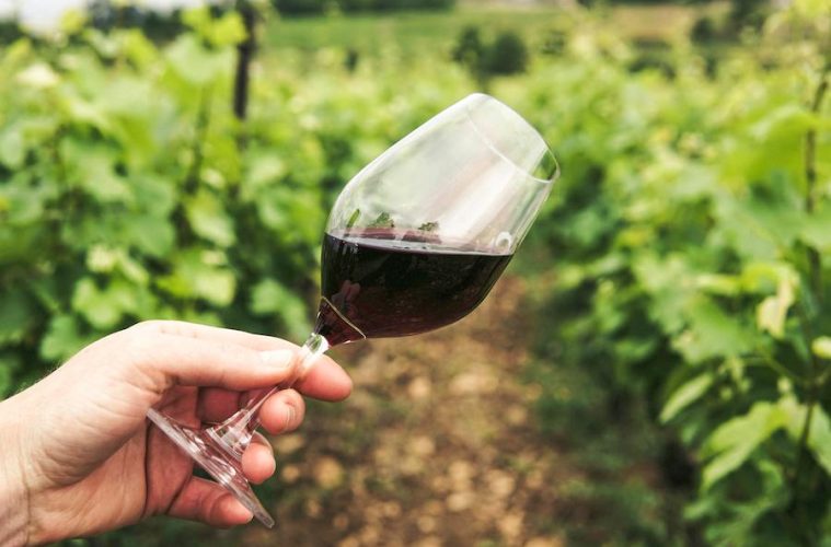 Lo que las denominaciones de origen de vino esperan de la próxima legislatura europea