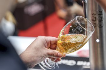 Los mejores tiradores de cerveza