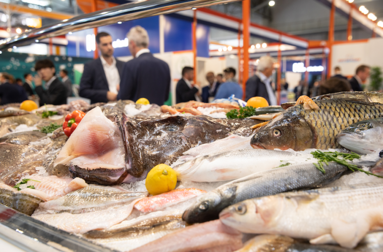 Retos y oportunidades para la industria de productos del mar - Foto Seafood