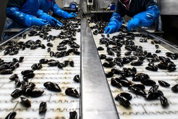 40 millones de euros en ayudas al sector transformador pesquero y acuícola