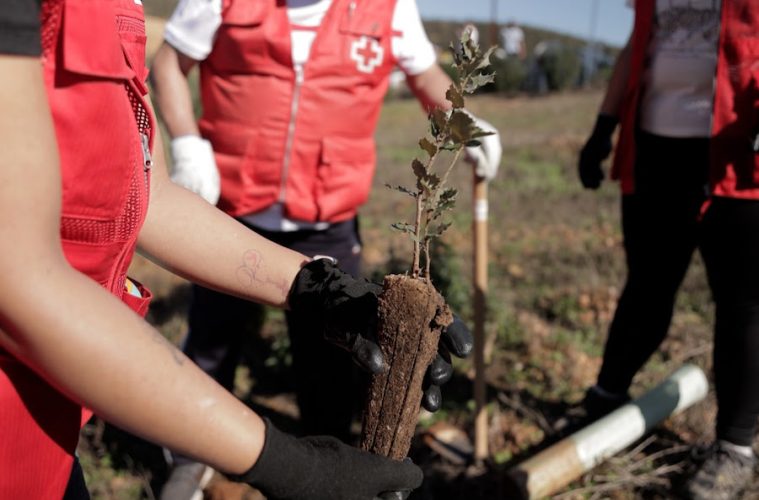 España entra en déficit ecológico hoy, 20 de mayo