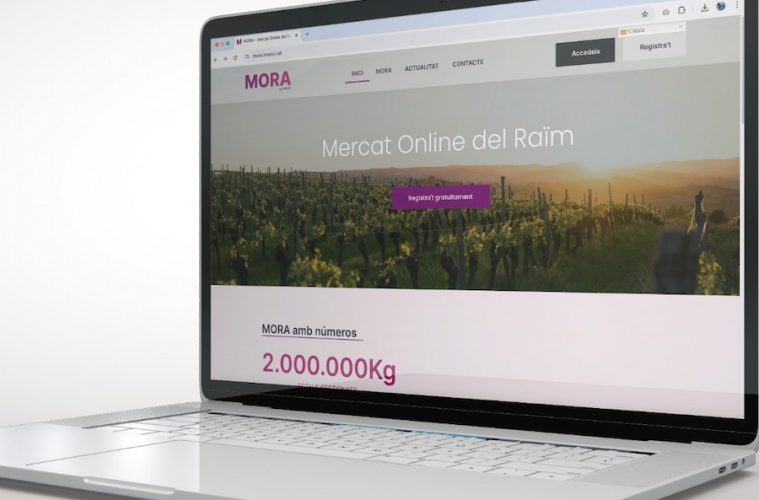Esta vendimia vuelve el Mercado Online de uva del Clúster Vitivinícola Catalán