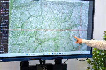 Inteligencia Artificial para controlar las plagas en el sector agrario