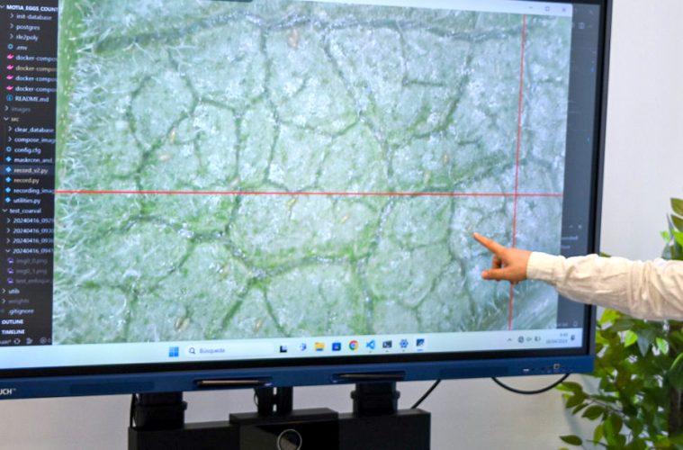 Inteligencia Artificial para controlar las plagas en el sector agrario