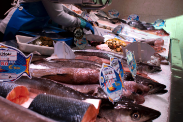 Las demandas de las pescaderías tradicionales de cara a las próximas elecciones europeas - Foto Fedepesca