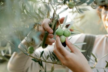 Nueva edición del programa europeo EWA que apoya proyectos agroalimentarios liderados por mujeres
