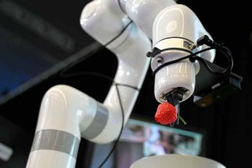 Siete tendencias que marcarán la actividad de la industria alimentaria en 2025