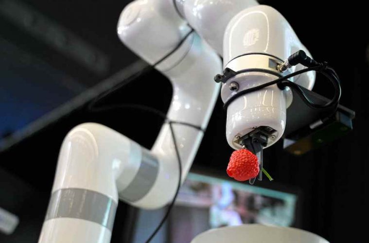 Siete tendencias que marcarán la actividad de la industria alimentaria en 2025