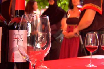 La añada 2023 de los vinos de Arlanza, calificada como Excelente