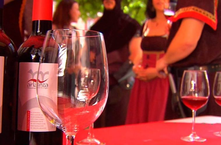 La añada 2023 de los vinos de Arlanza, calificada como Excelente
