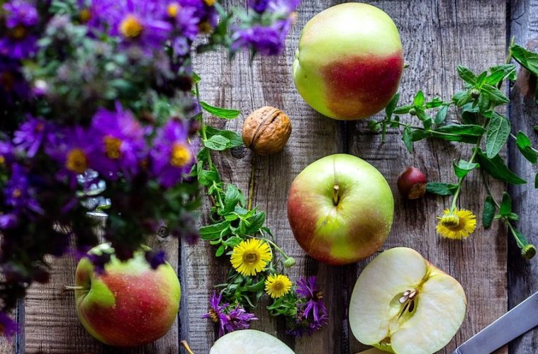 Huertos, semillas, flora, fauna… hasta 100 actividades medioambientales gratuitas en Madrid