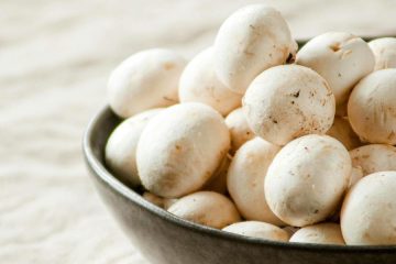 Los productores de champiñón, alarmados por el aumento de los costes de producción