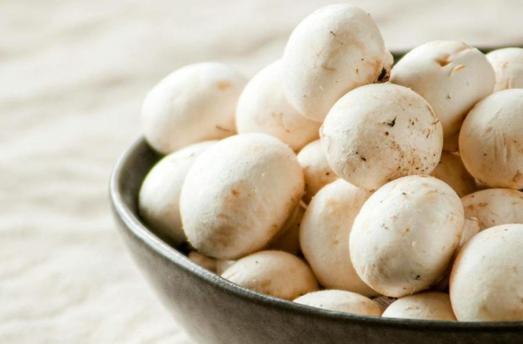 Los productores de champiñón, alarmados por el aumento de los costes de producción