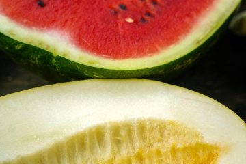 Los productores de semillas de melón y sandía presentan sus novedades en Murcia