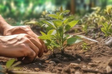 Nuevo PERTE Agroalimentario en agosto 100 millones de euros