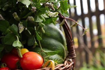 Primeros certificados de Agricultura Regenerativa