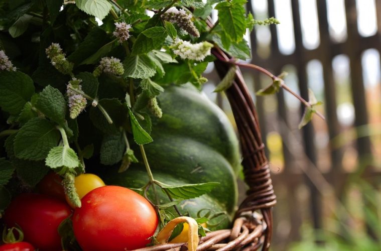 Primeros certificados de Agricultura Regenerativa