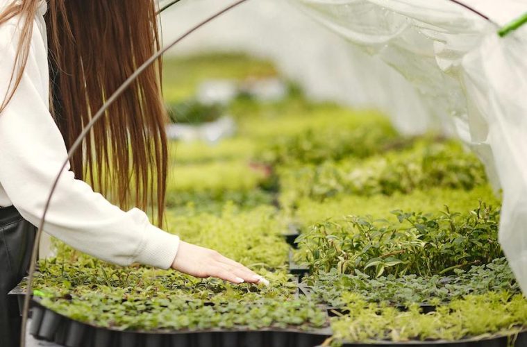 Quince proyectos que pretenden revolucionar el sector agroalimentario