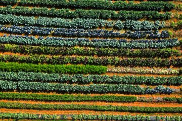 TerraCert, proyecto europeo de formación en agricultura regenerativa