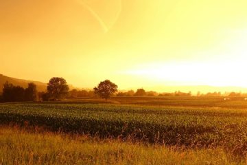Ya se conocen los nuevos agricultores beneficiarios de la ayuda extraordinaria por la sequía