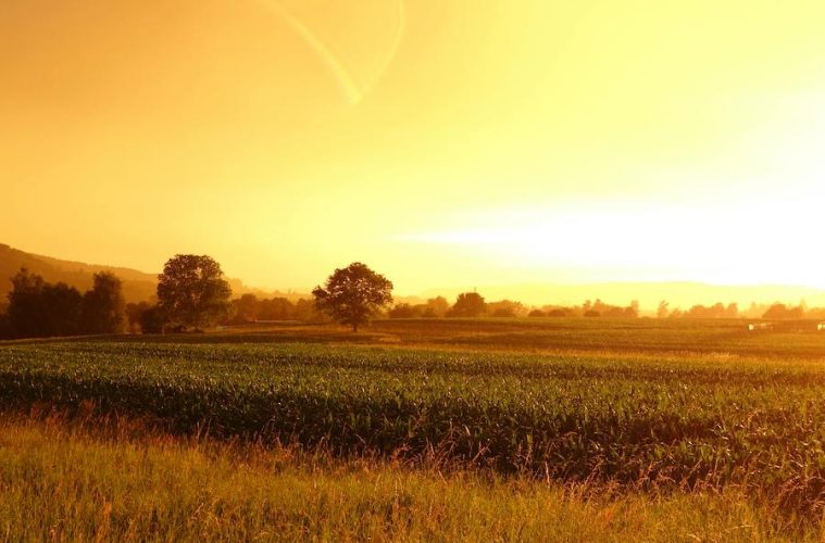 Ya se conocen los nuevos agricultores beneficiarios de la ayuda extraordinaria por la sequía