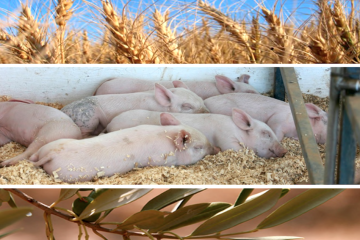 2023, buen año para las exportaciones agroalimentarias y pesqueras españolas
