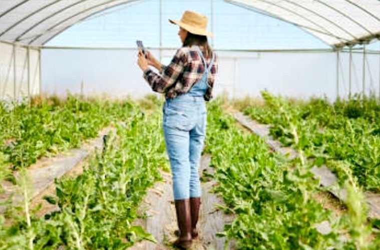 Abiertas las inscripciones al programa formativo Cultiva para jóvenes agricultores - Foto MAPA