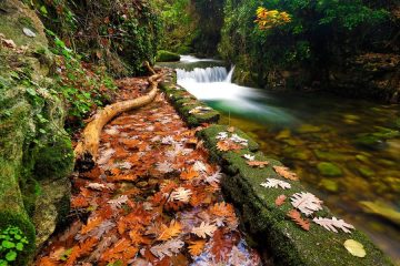 El Otoño Mágico del Valle del Ambroz, declarado Fiesta de Interés Turístico Internacional - Foto MINCOTUR