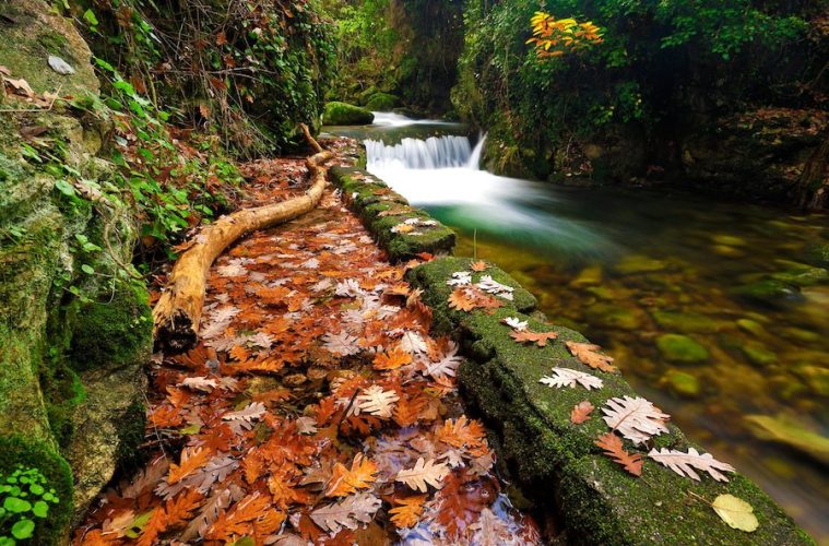 El Otoño Mágico del Valle del Ambroz, declarado Fiesta de Interés Turístico Internacional - Foto MINCOTUR