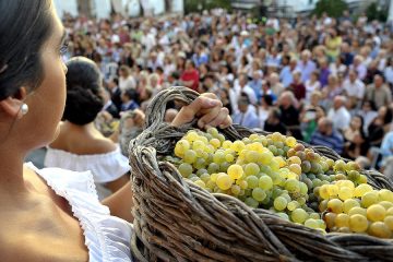 Jerez prepara ya la Fiesta de la Vendimia - Foto Ayto. de Jerez