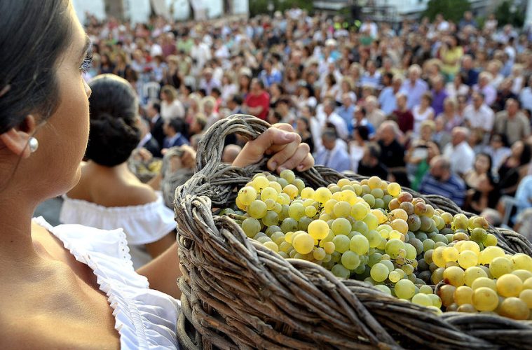 Jerez prepara ya la Fiesta de la Vendimia - Foto Ayto. de Jerez